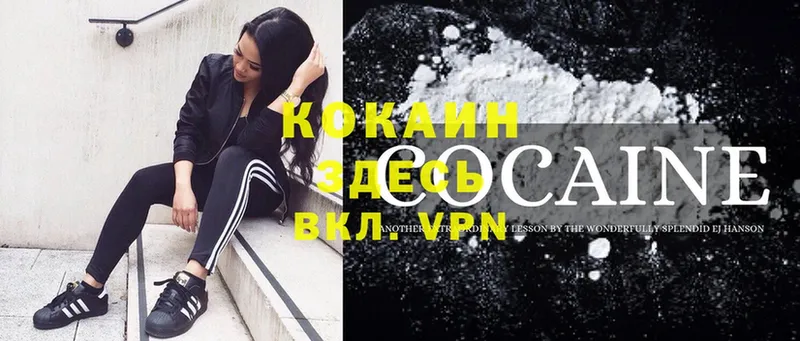 COCAIN Fish Scale  как найти закладки  Тосно 